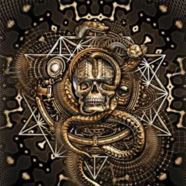 Kapuzenjacke Equilibrium "Skullodelic"